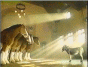 Budweiser 2004 Born a Donkey (3333 KB)