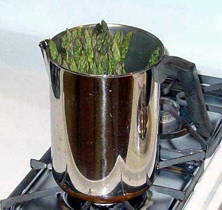Asparagus in Coffee Pot Asparagus in Coffee Pot